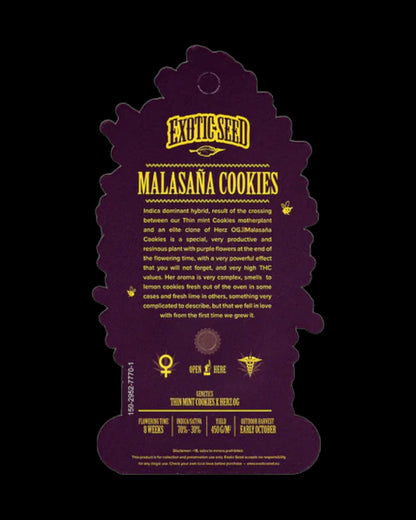 Malasaña Cookies von Exotic Seed