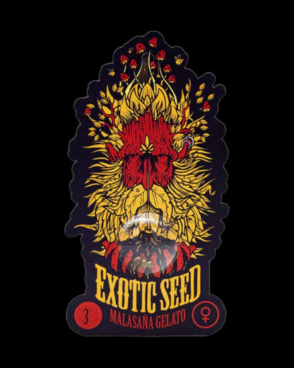 Gelato 33 × Do-Si-Dos × Malasaña Cookies Kreuzung