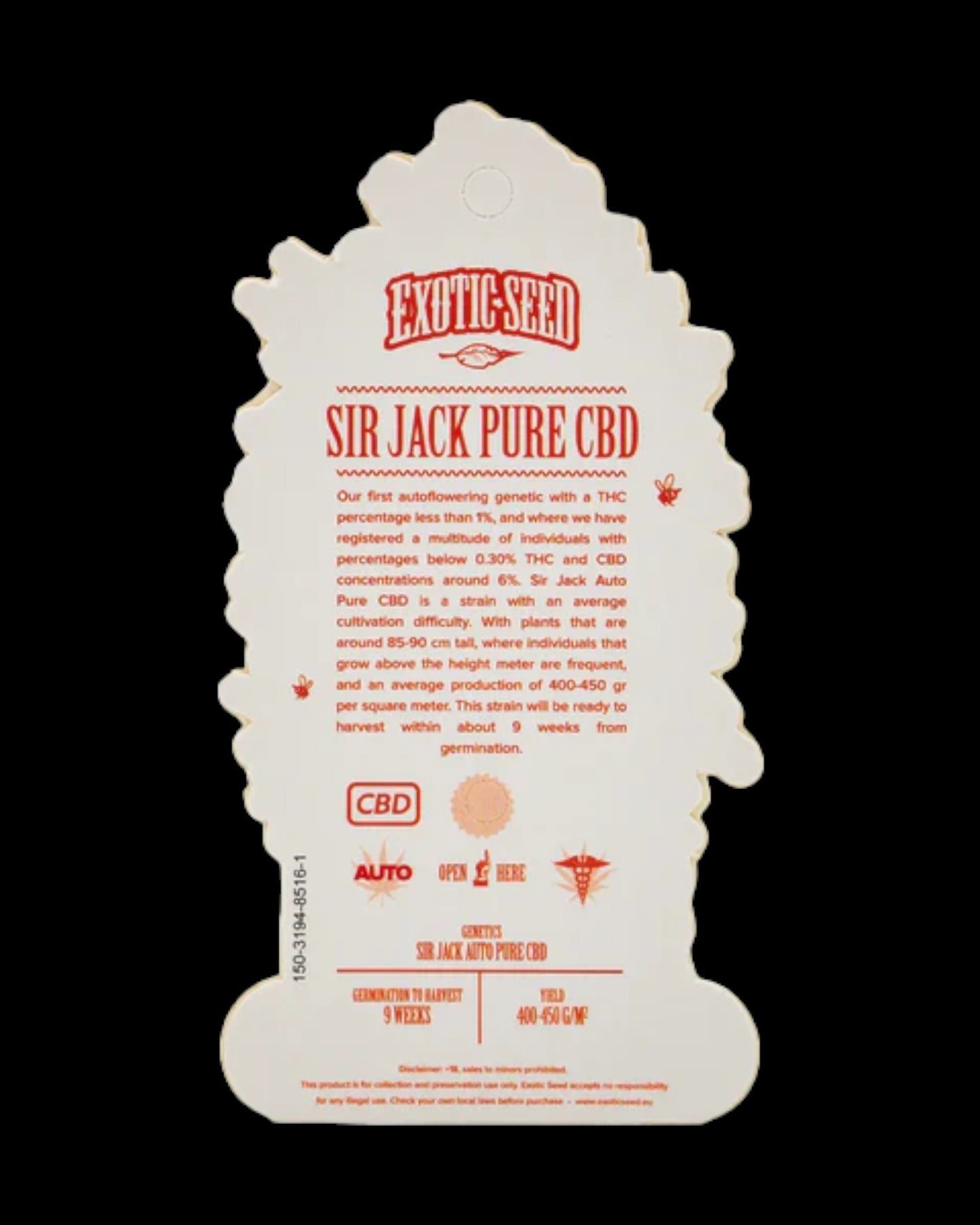 Exotic Seed - SIR JACK AUTO PURE CBD - AUTOFLOWER