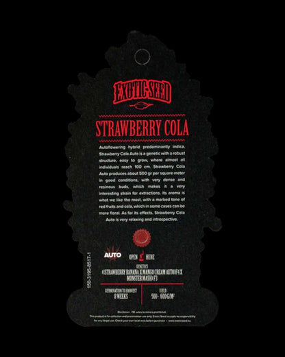 Kompakte Strawberry Cola Auto Pflanze von Exotic Seed