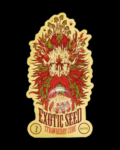 Exotic Seed Strawberry Cube Auto mit Erdbeer-Aroma