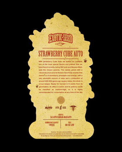 Strawberry Cube Autoflower Strain mit süßem Terpenprofil