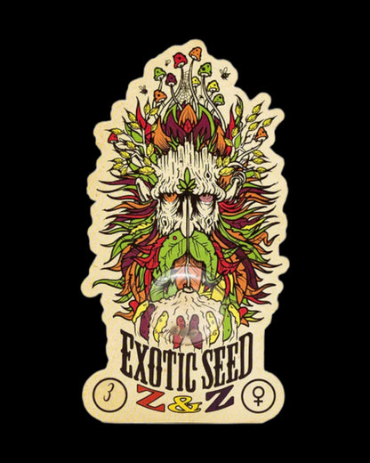 Zkittlez-basierte Z&Z Blüte mit tropischem Aroma