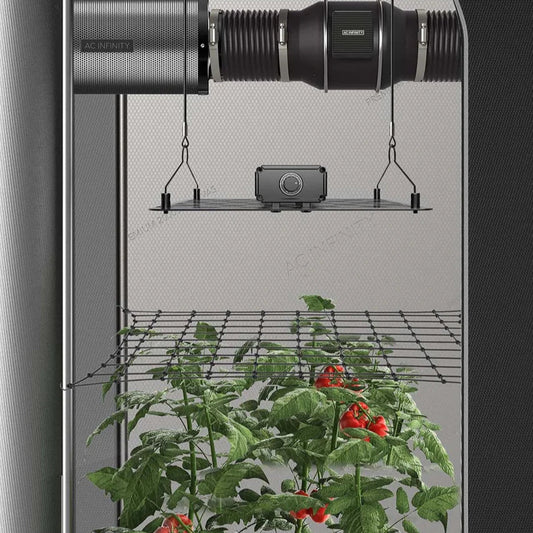 Grow Zelt Gitternetz für SCROG-Anbau – optimale Pflanzentrainingshilfe