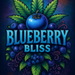 PL - Blueberry Bliss - AUTOFLOWER