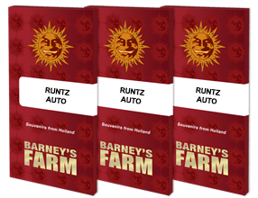 Barneys Farm - Runtz AUTOFLOWER