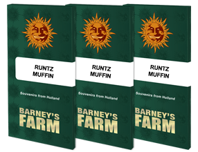 Runtz Muffin Samenpackung von Barney’s Farm im Detail