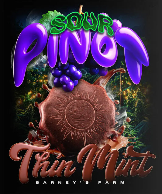 Barneys Farm - Thin Mint x Sour Pinot AUTOFLOWER