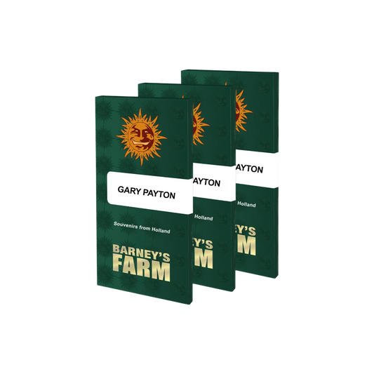 Gary Payton Cannabis Samen von Barney’s Farm – 27 % THC, Diesel-Kräuter-Aroma, hohe Erträge indoor & outdoor