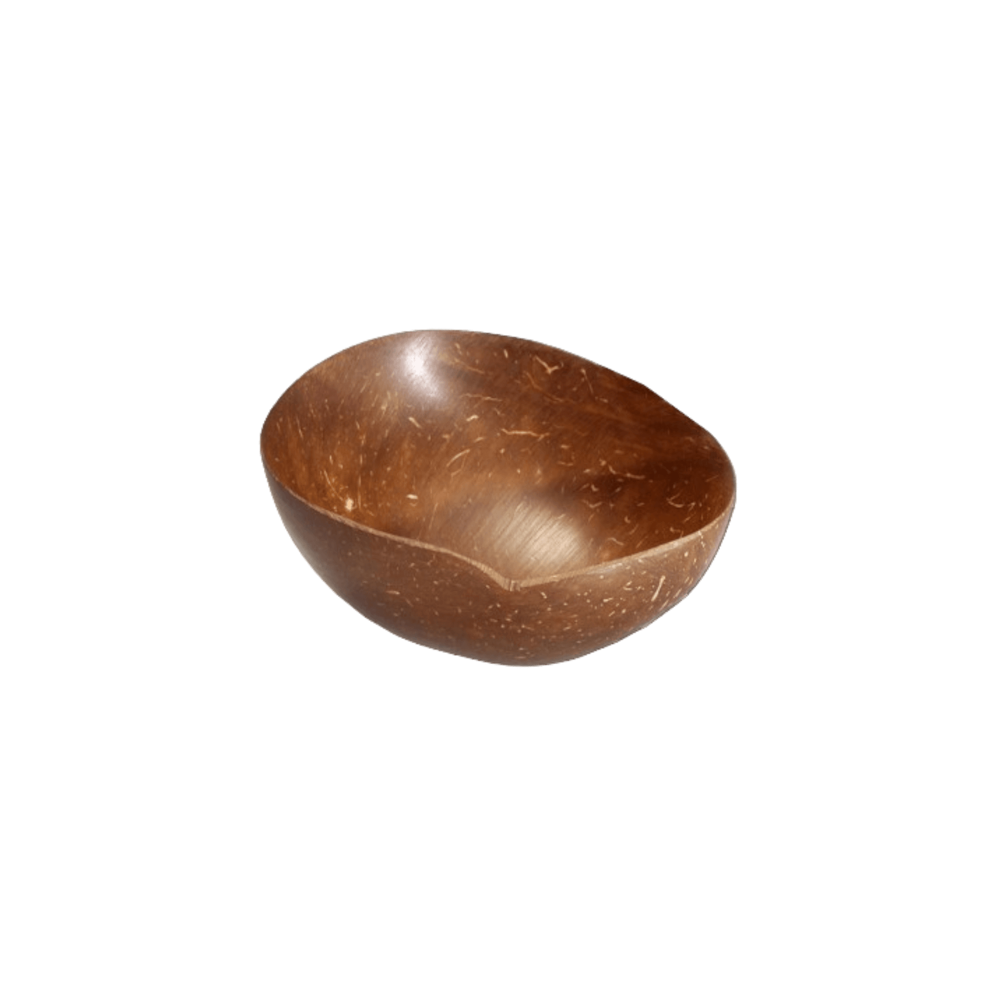 Bröselschale Kokos aus echter polierter Kokosnussschale